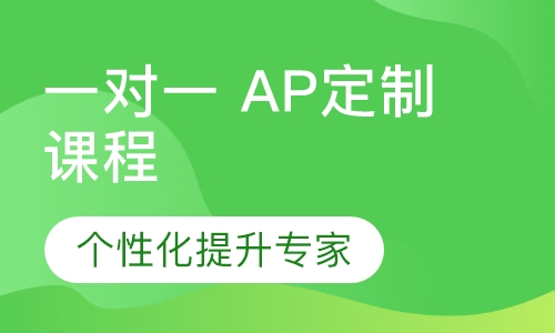 一对一 AP定制课程