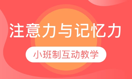 注意力记忆力