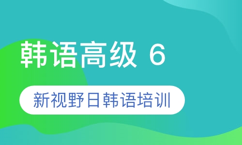 韩语高级 6