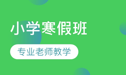 小学寒假班