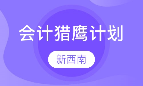 会计猎鹰计划