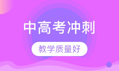 中高考冲刺
