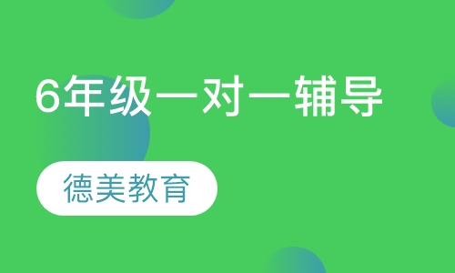 6年级一对一辅导