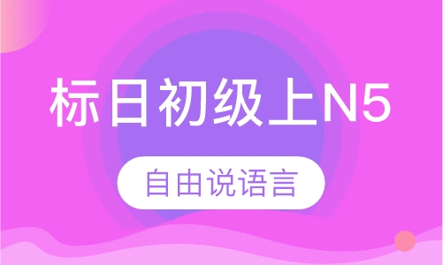 标日初级上N5