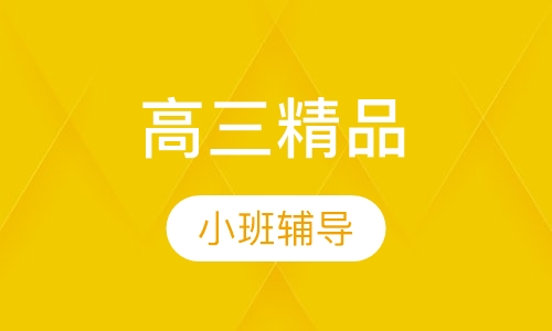 高三精品小班辅导
