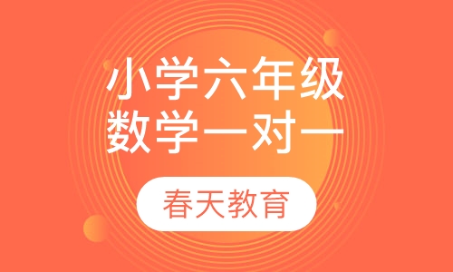 小学六年级数学一对一辅导课程