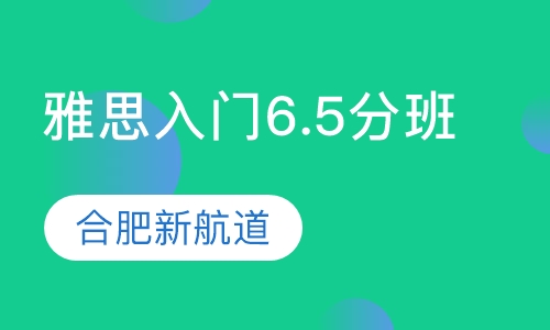 雅思入门6.5分班