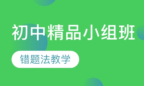 初中精品小组班