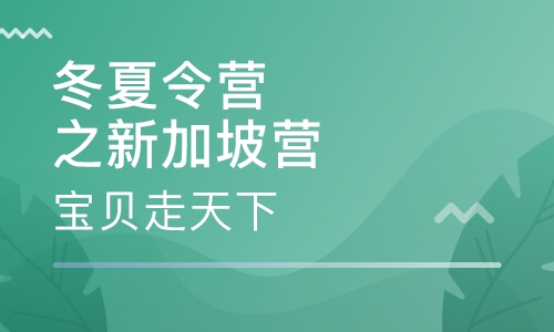 冬夏令营之新加坡营