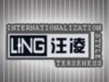 上海汪凌形象设计