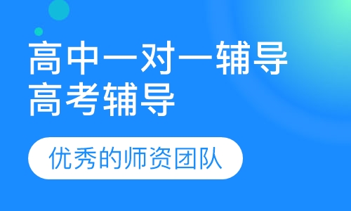 高中一对一辅导高考辅导