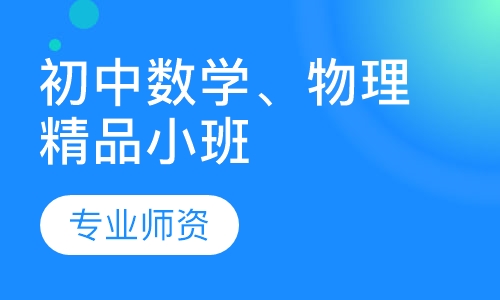 初中数学、物理精品小班