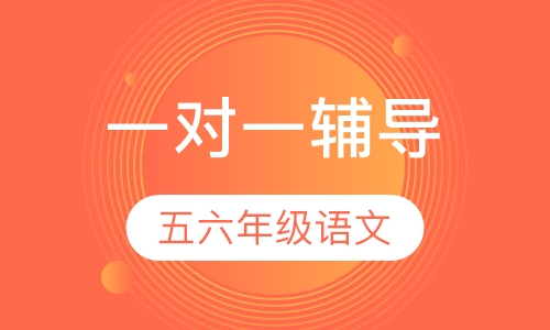 小学五六年级语文一对一辅导课程