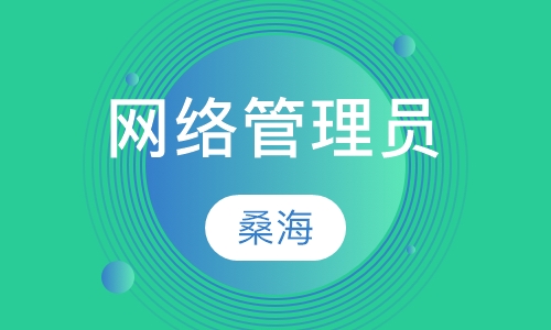 网络管理员