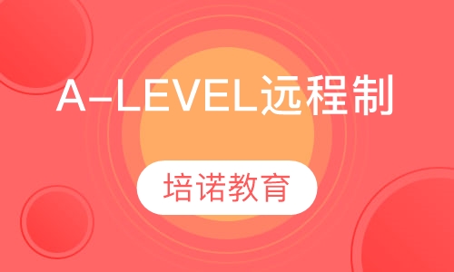 A-LEVEL远程制