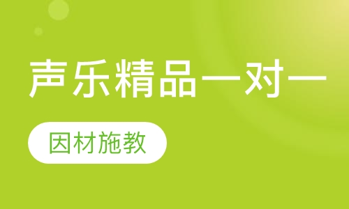 声乐精品一对一课程