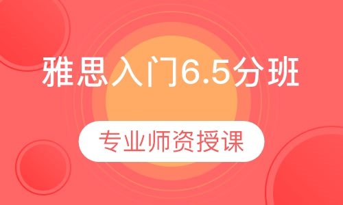 雅思入门6.5分班