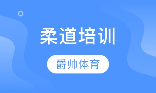 柔道培训