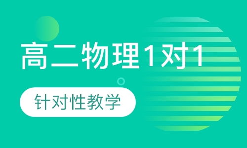 高二物理1对1辅导