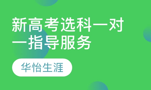 新高考选科一对一指导服务