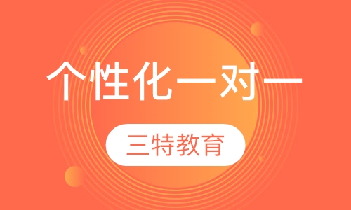 个性化一对一