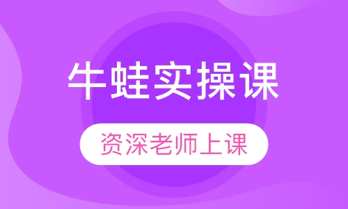 牛蛙实操课