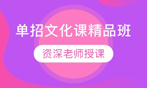 单招语数外精品小班