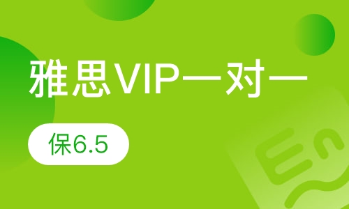 雅思VIP一对一