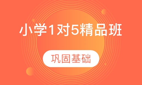 小学1对5精品班