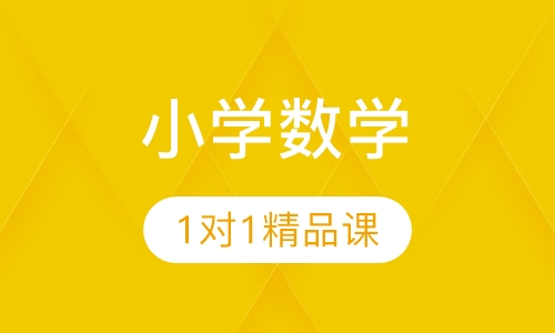 小学数学1对1VIP精品课程