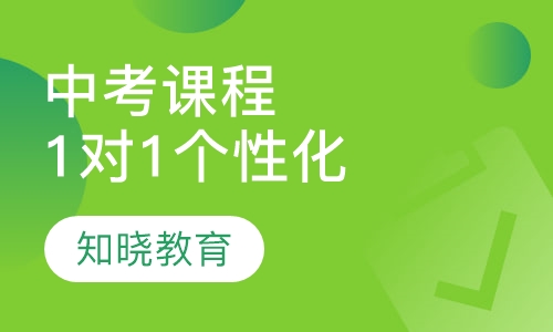 中考辅导课程 1对1个性化辅导