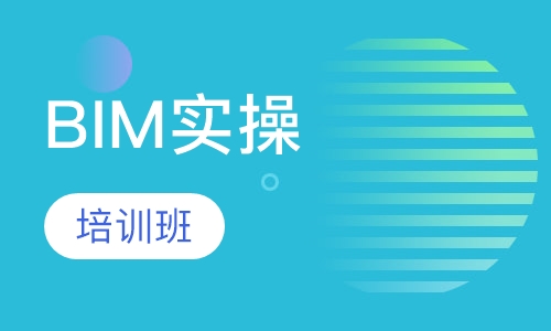 BIM实操