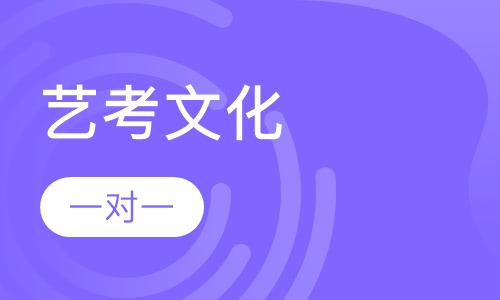 艺考类文化课一对一VIP课