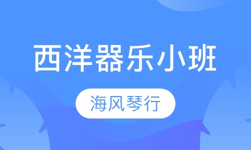 西洋器乐小班