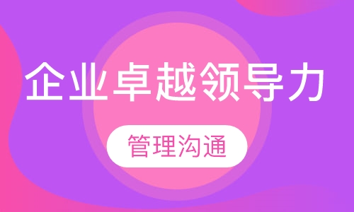 企业卓越领导力
