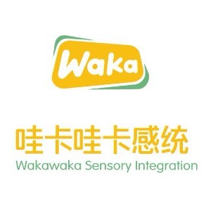 郑州哇卡少年感统训练中心