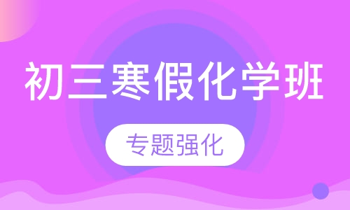 初三寒假化学班