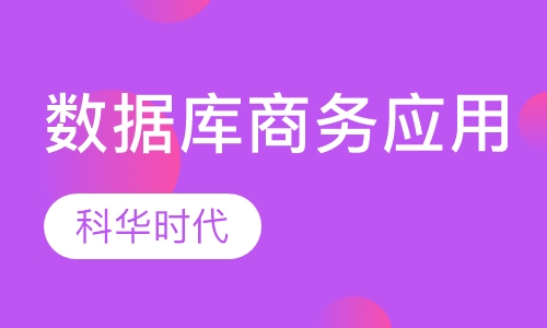 数据库access vba高级商务应用