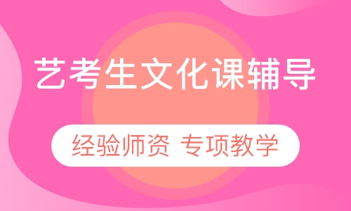艺考生文化课辅导