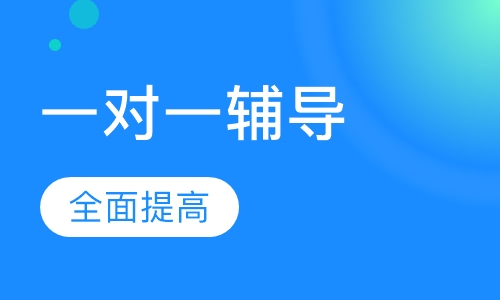 一对一辅导