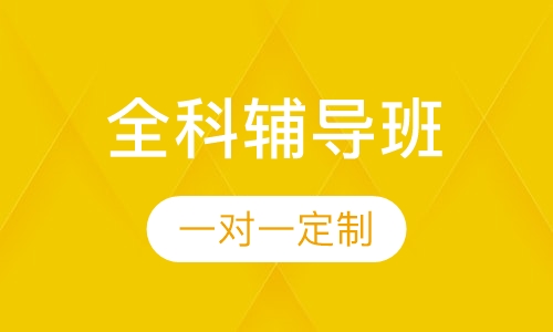小、初、高全科一对一辅导班