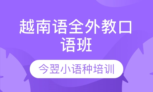 越南语全外教口语班