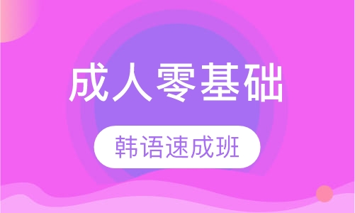 韩语成人零基础速成班
