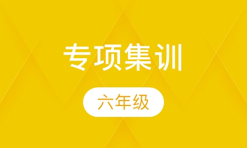 专项集训（六年级）