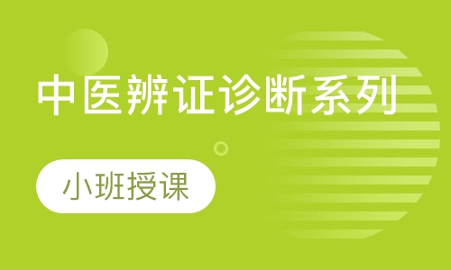 中医辨证诊断系列