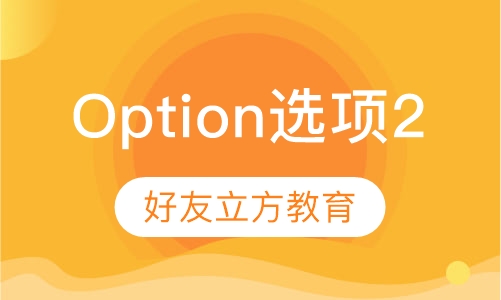 Option 选项 2