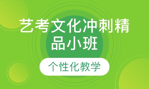 艺考文化冲刺精品小班