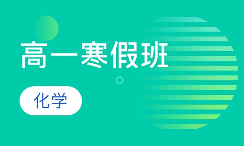 高一化学寒假班