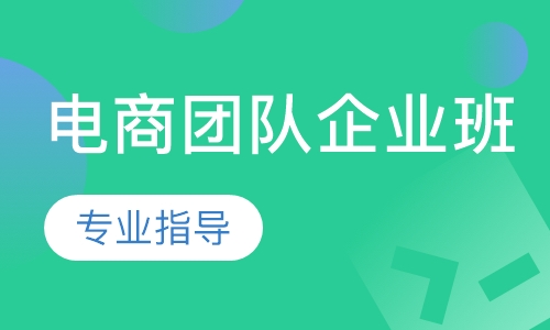 电商团队企业班