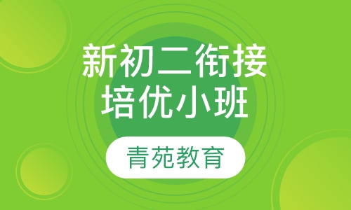 新初二衔接培优小班